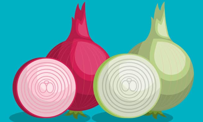 Guida all’utilizzo di Tor Browser